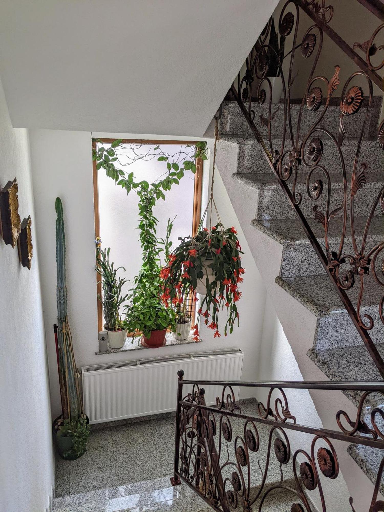 Apartmani Hrastik Bihac Exterior photo