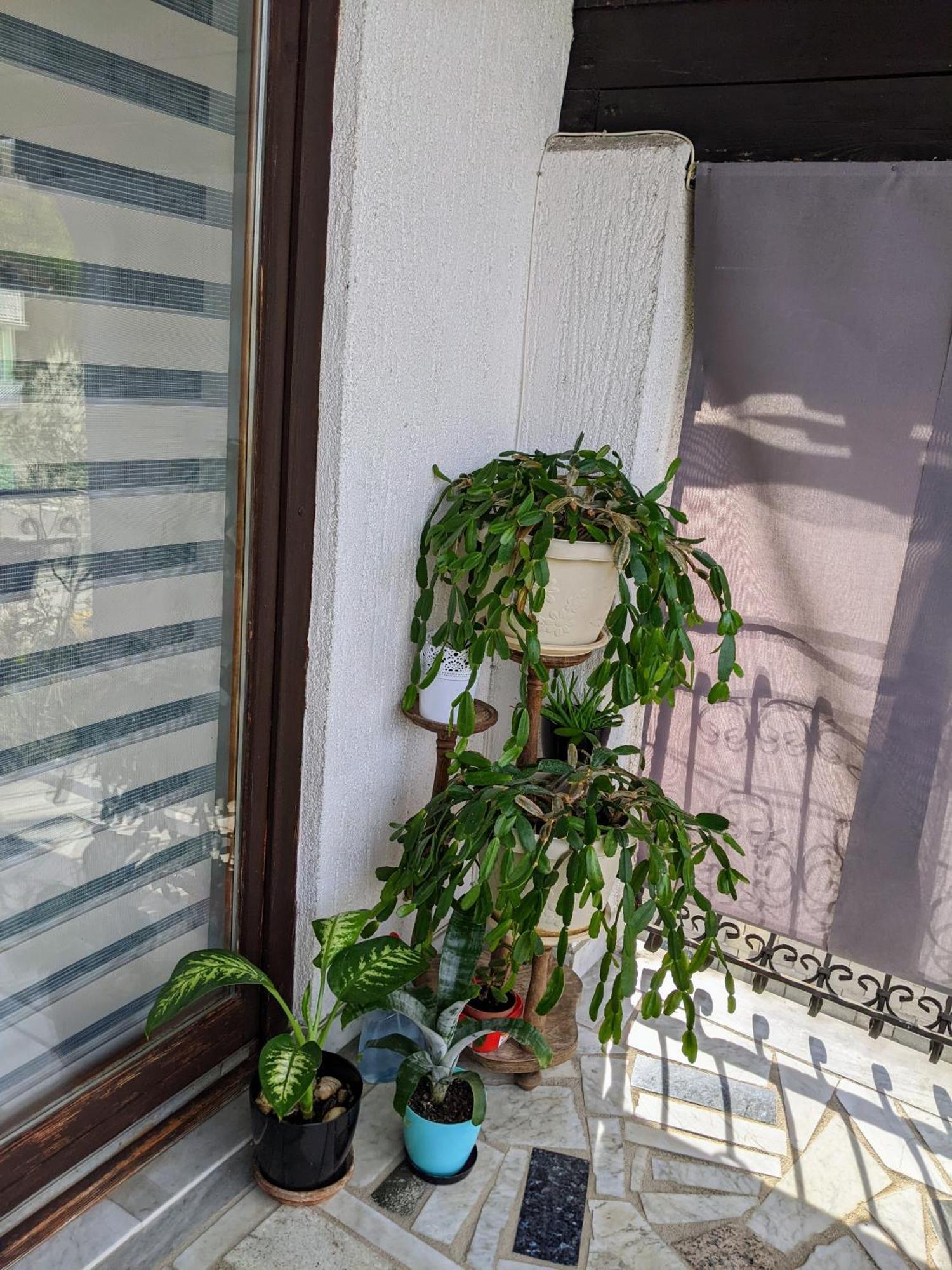 Apartmani Hrastik Bihac Room photo